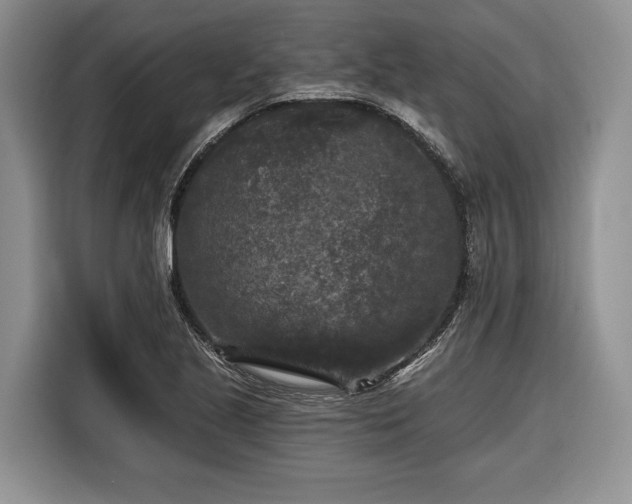 X0000116611221200912181159