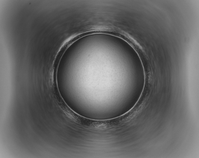 X0000116611222200912181159
