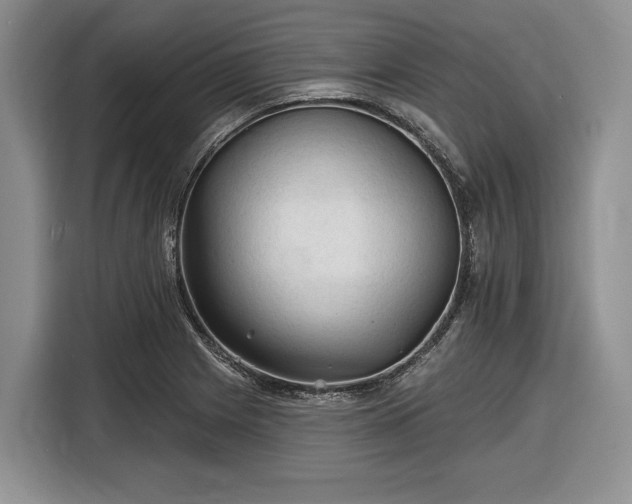 X0000116611225200912181159