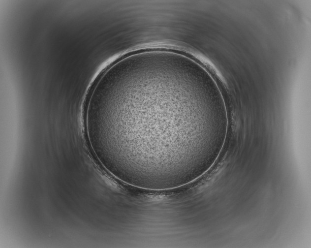 X0000116611230200912181159