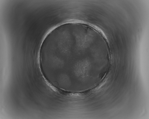 X0000116611231200912181159