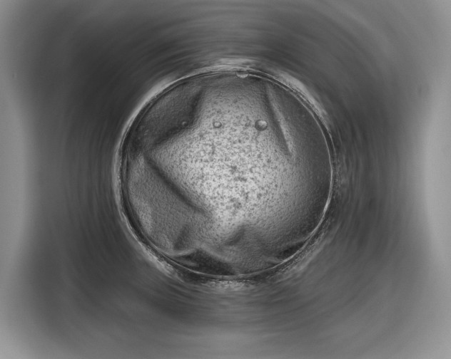 X0000116611235200912181200