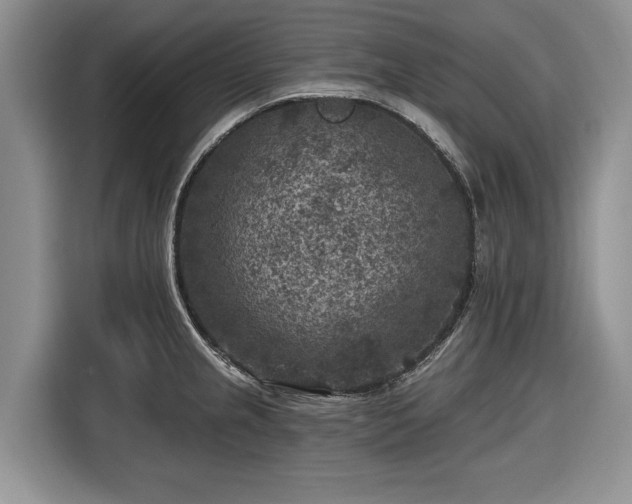 X0000116611237200912181200