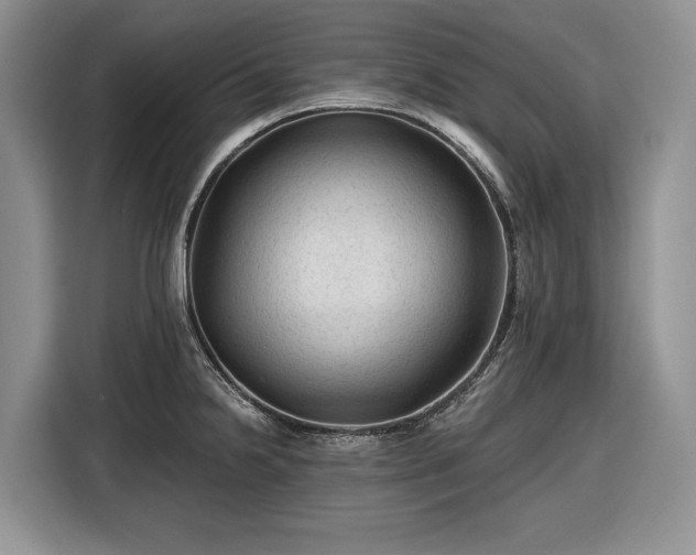 X0000116611238200912181200