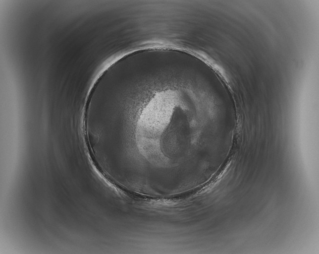 X0000116611239200912181200