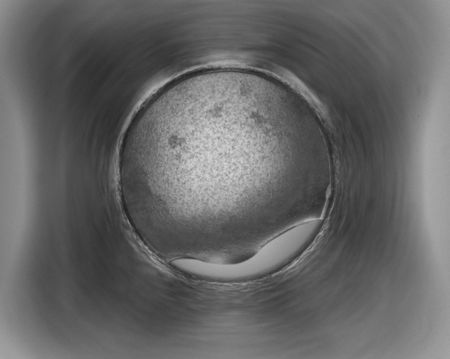 X0000116611240200912181200