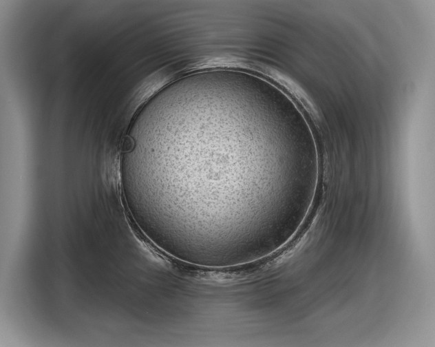 X0000116611241200912181200