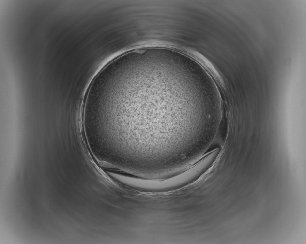 X0000116611244200912181200