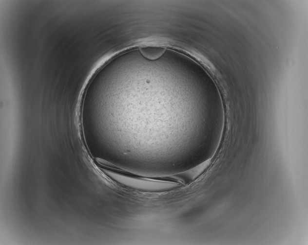X0000116611248200912181200