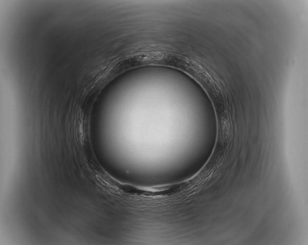 X0000116611250200912181159