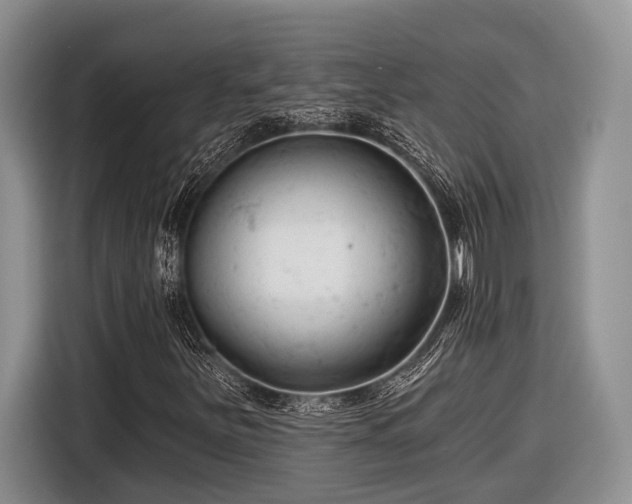 X0000116611251200912181159