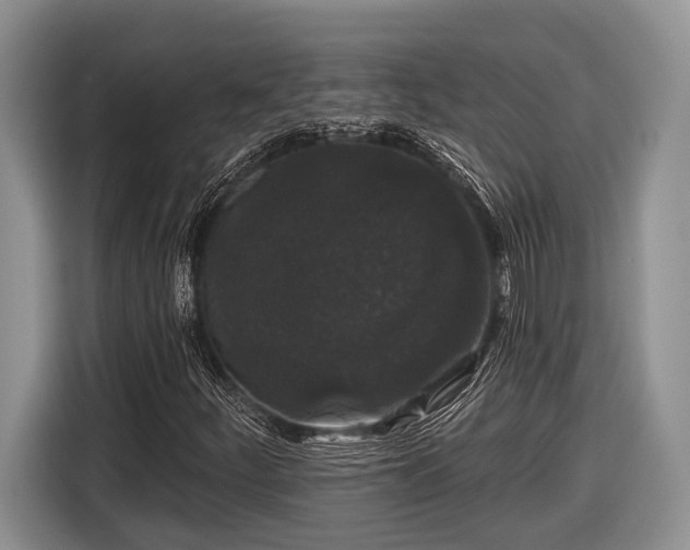 X0000116611252200912181159