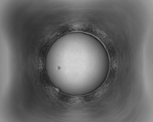 X0000116611253200912181159