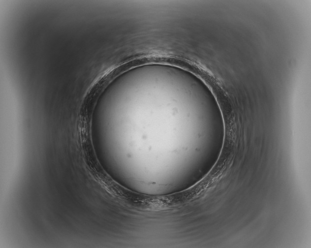 X0000116611255200912181159