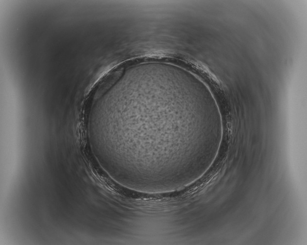 X0000116611256200912181159
