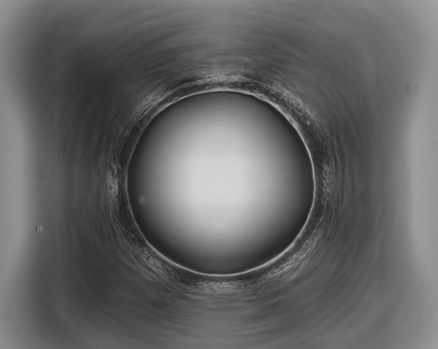 X0000116611257200912181159