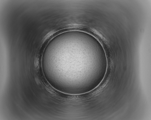 X0000116611259200912181159