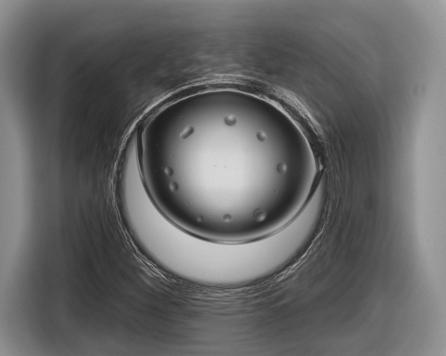 X0000116611260200912181159