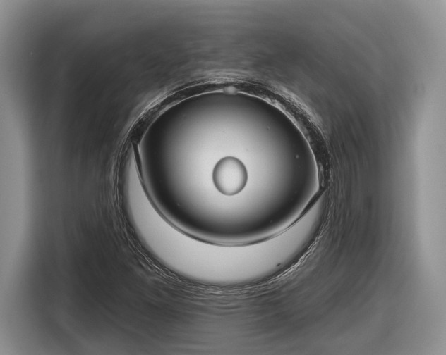 X0000116611261200912181159