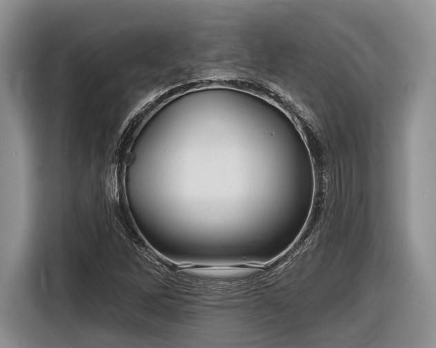 X0000116611262200912181159
