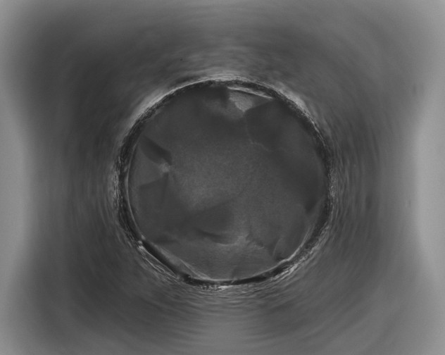 X0000116611263200912181159