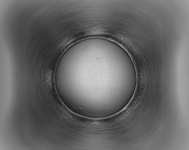 X0000116611265200912181159