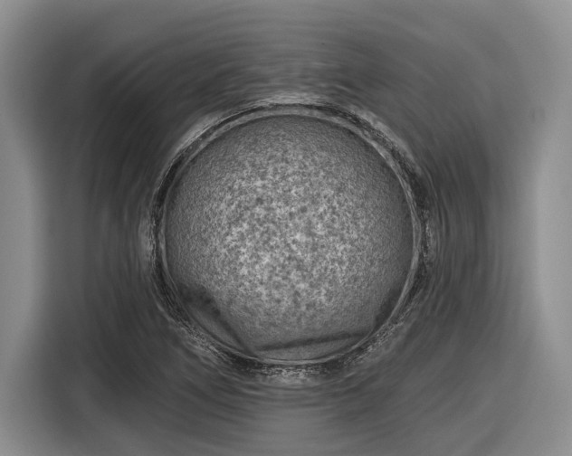 X0000116611266200912181159