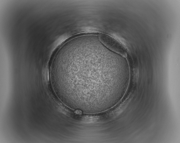 X0000116611269200912181159
