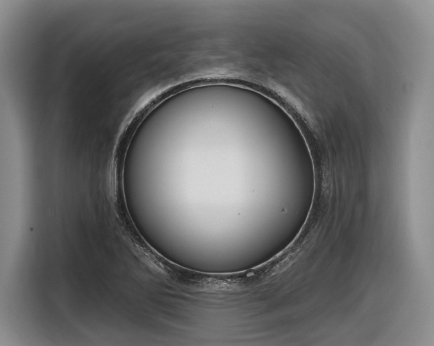 X0000116611270200912181159