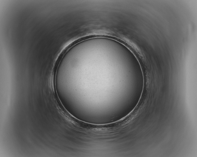 X0000116611272200912181159