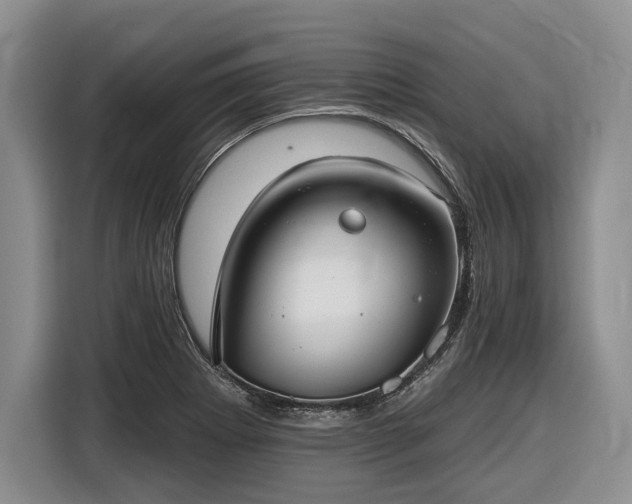 X0000116611273200912181159