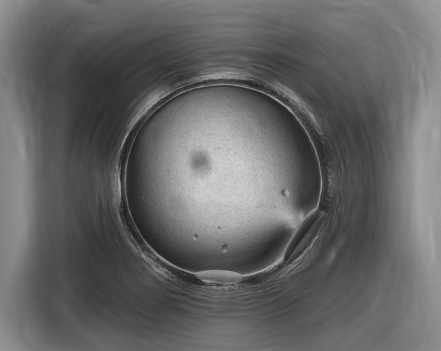X0000116611274200912181159