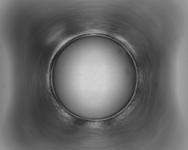 X0000116611278200912181159