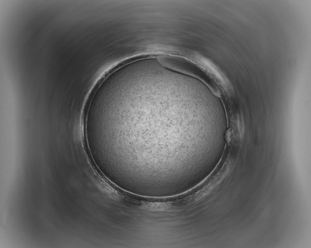 X0000116611280200912181159