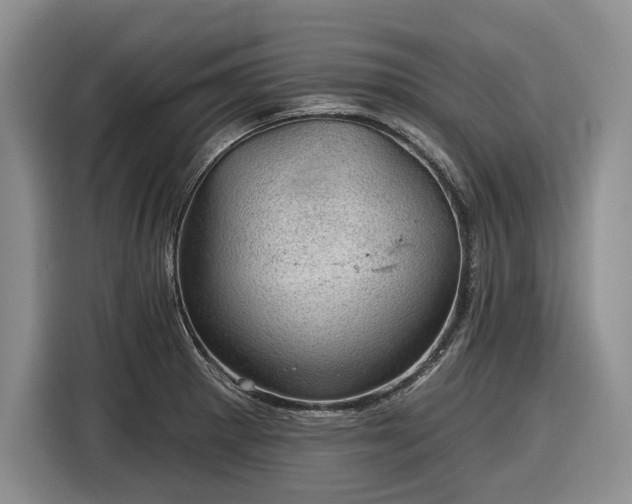 X0000116611281200912181159