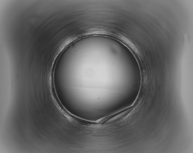 X0000116611282200912181159