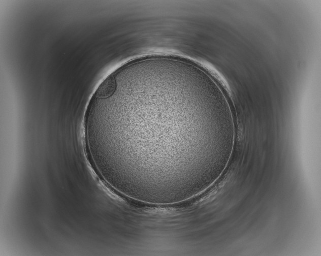 X0000116611287200912181159