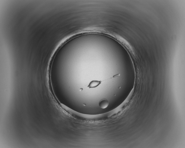 X0000116611288200912181159
