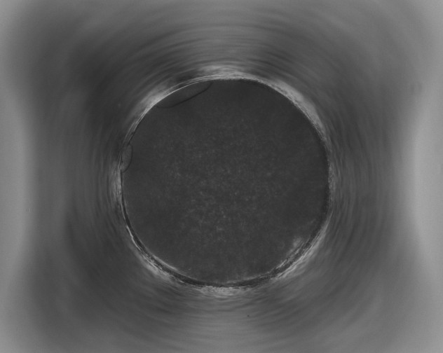 X0000116611289200912181159