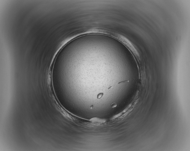 X0000116611292200912181159