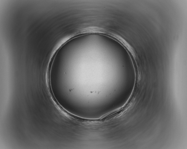 X0000116611293200912181158