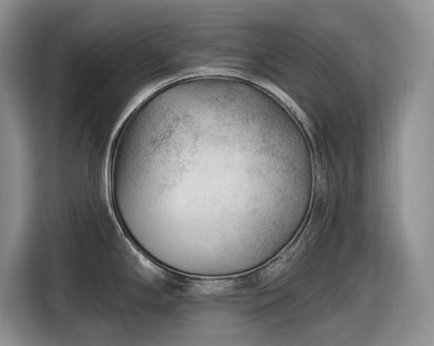 X0000116611294200912181158