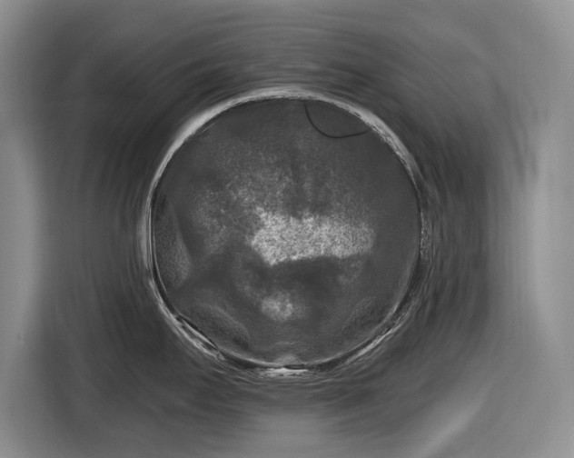X0000116611295200912181158