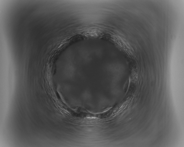 X0000116611297200912181158