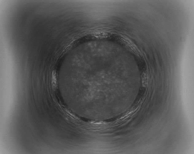 X0000116611298200912181158
