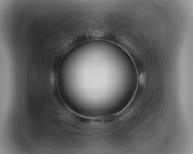 X0000116611299200912181158