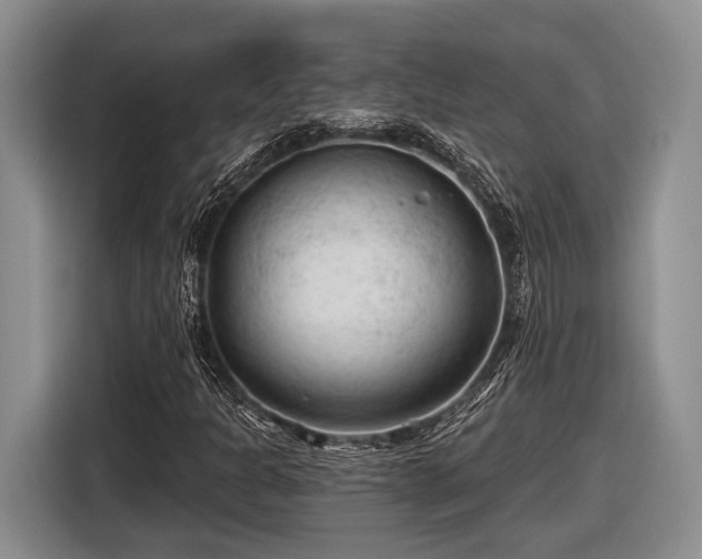X0000116611301200912181158