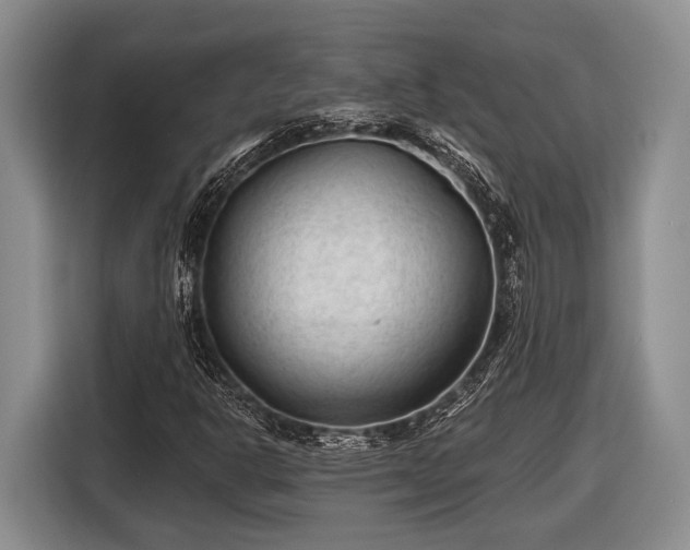 X0000116611302200912181158