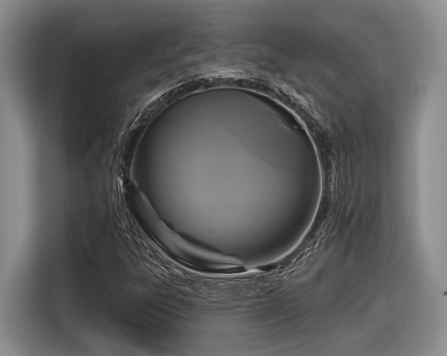 X0000116611303200912181158