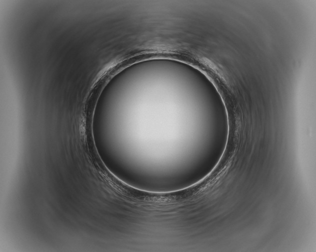 X0000116611307200912181158